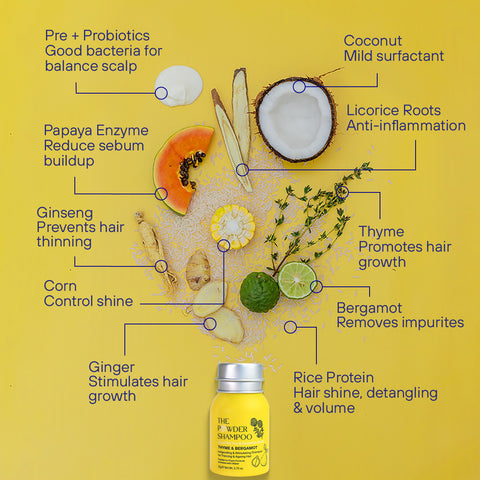 The Powder Shampoo - Starter Kit - Invigorating & Stimulating Powder Shampoo For Thinning Hair