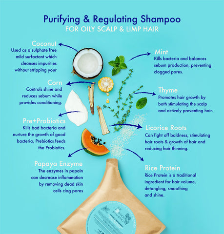Purifying & Regulating Foaming Powder Shampoo For Oily Scalp & Limp Hair 100g Refill Pouch Vegan, Plastic Free