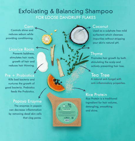 Exfoliating & Balancing Foaming Powder Shampoo For Loose Dandruff Flakes 100g Refill Pouch Vegan, Plastic-Free