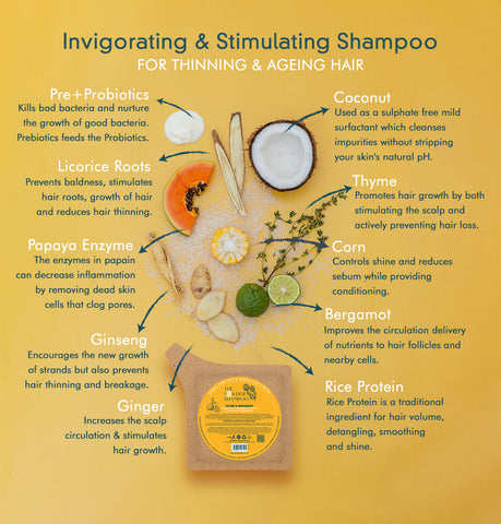 Invigorating & Stimulating Foaming Powder Shampoo For Thinning & Aging Hair 100g Refill Pouch, Vegan, Plastic-Free